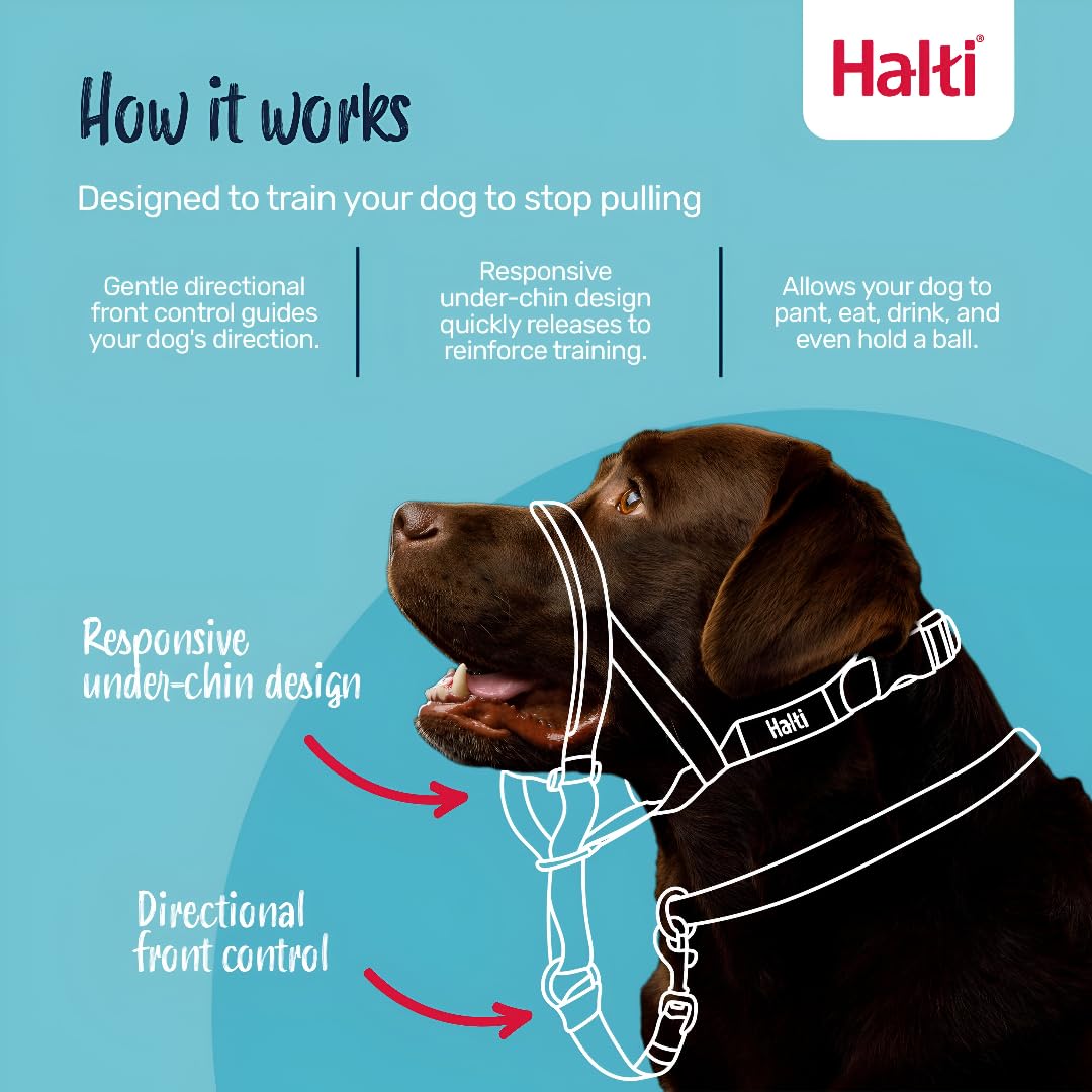 Halti Headcollar - Stops Pulling for Medium Dogs | Size 2, Forest Green, Reflective