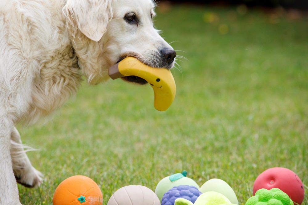 Petface Small Latex Pear Squeaky Chew Toy | Durable Natural Rubber | Unscented 7
