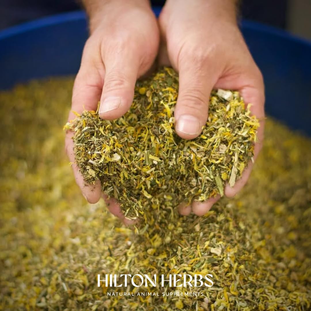 Hilton Herbs Cleavers & Marigold Natural Equine Supplement for Lymphatic Support | 750g 5