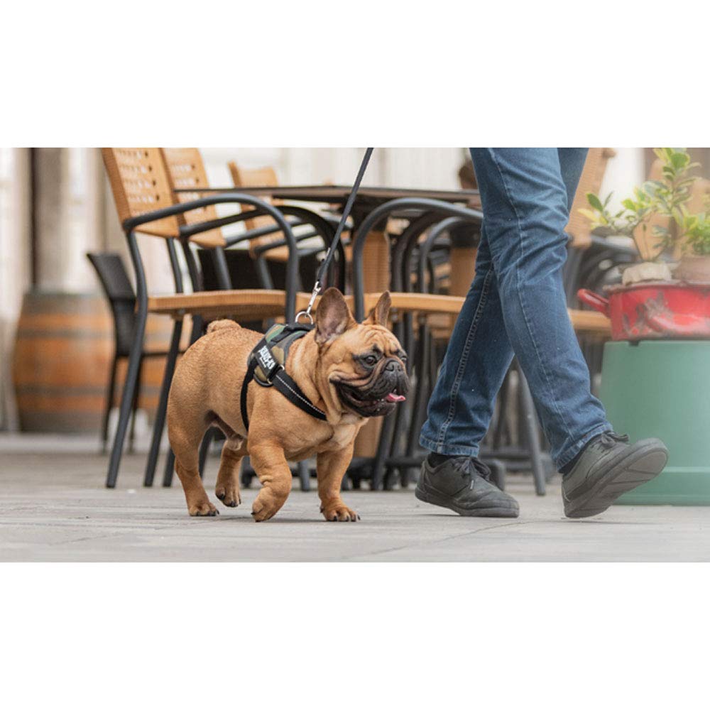 Julius-K9 IDC Powerharness - Vest Harness for Dogs | Camouflage, Size M/0 | 14-25 kg 3