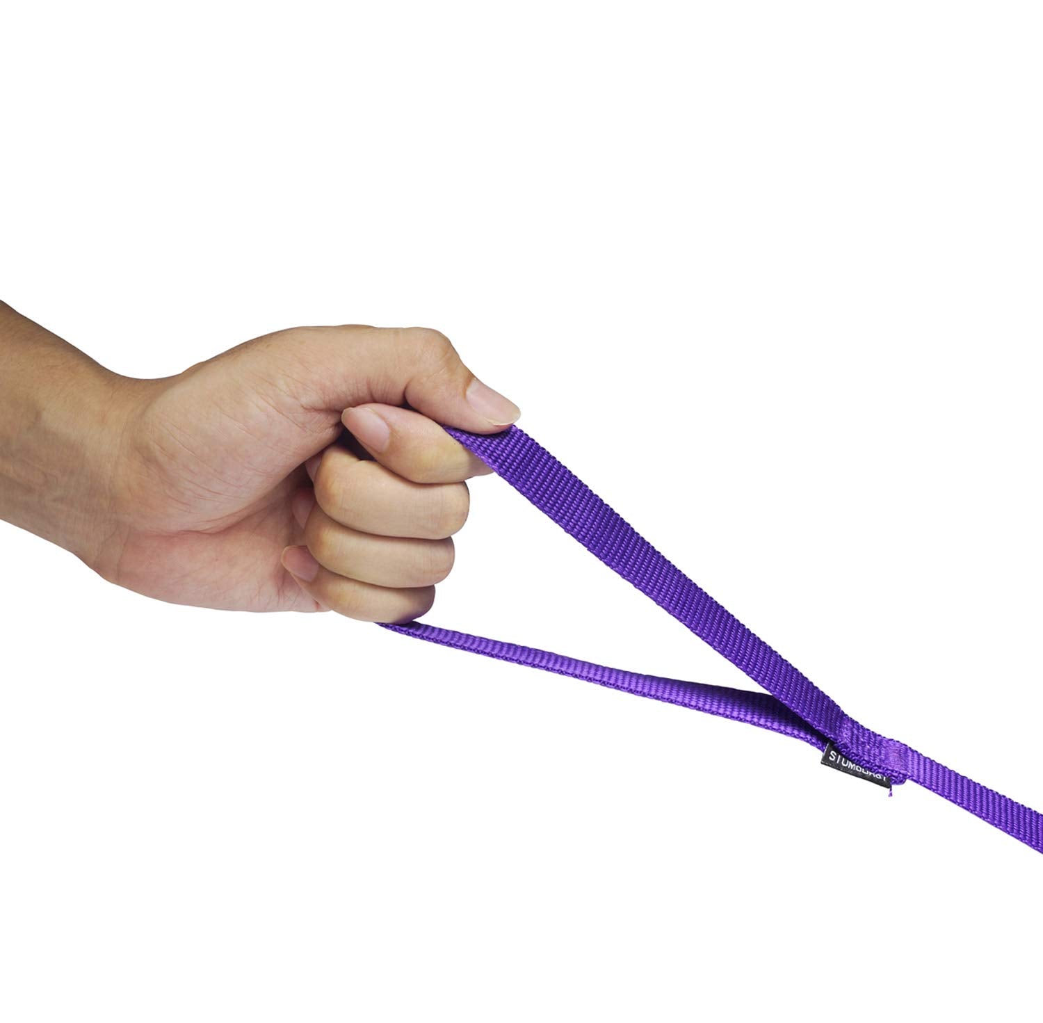 Siumouhoi Nylon Dog Training Leash - 1 Inch Wide, 10 Feet Long, Purple 3