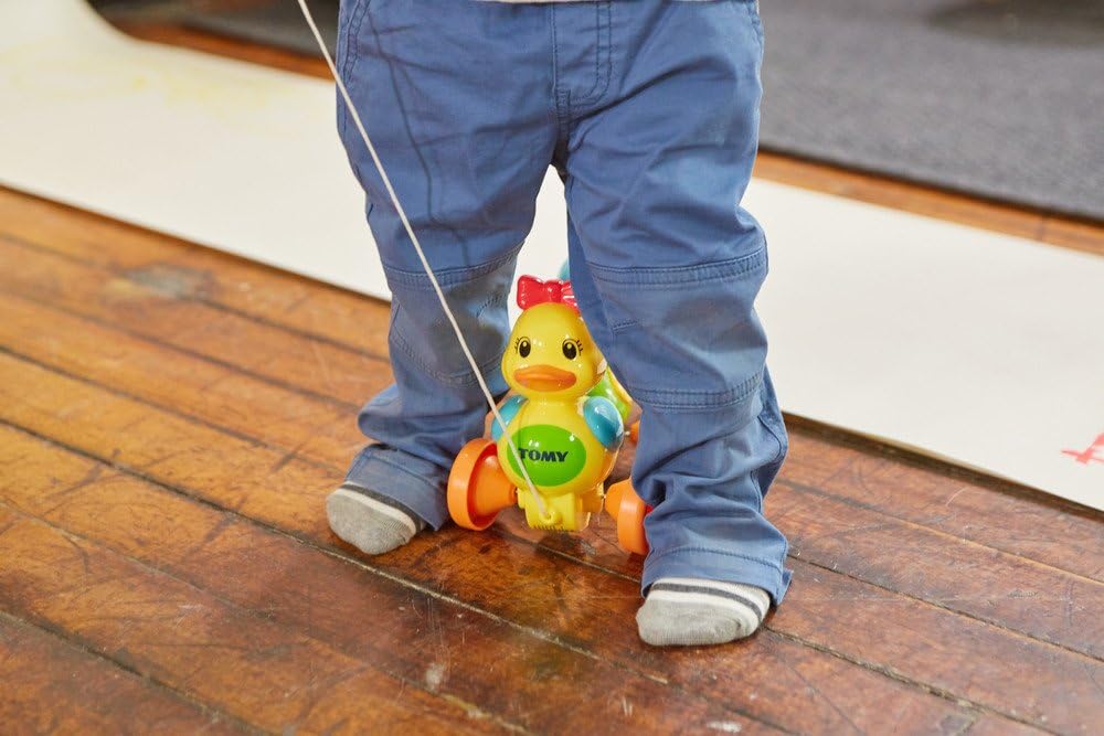 Toomies Quack Along Ducks E4613 - Musical Pull-Along Toy for Toddlers 12 Months+ 3