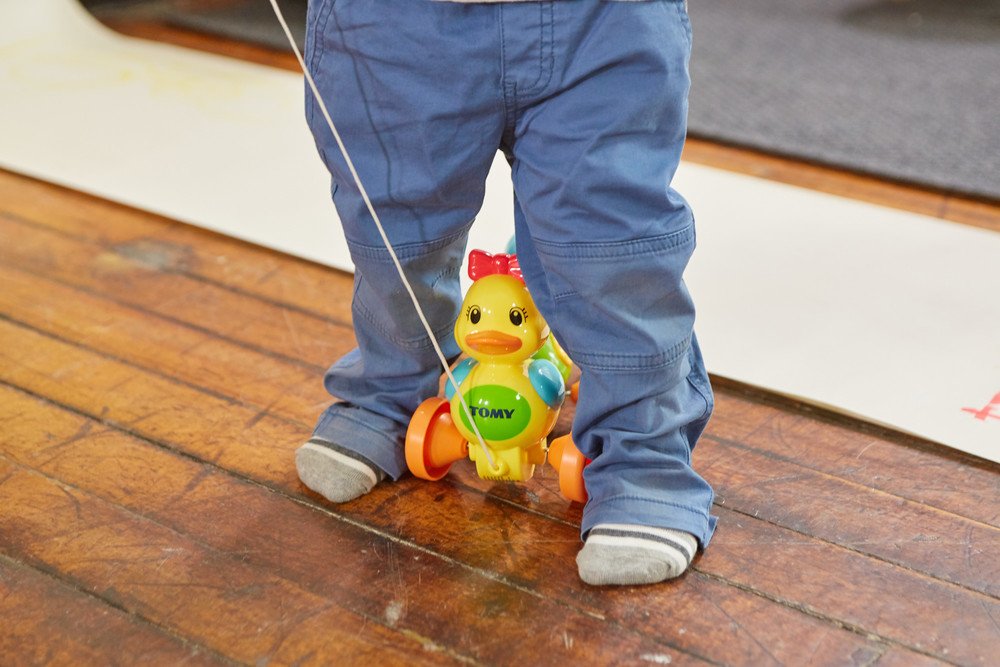 Toomies Quack Along Ducks E4613 - Musical Pull-Along Toy for Toddlers 12 Months+ 14