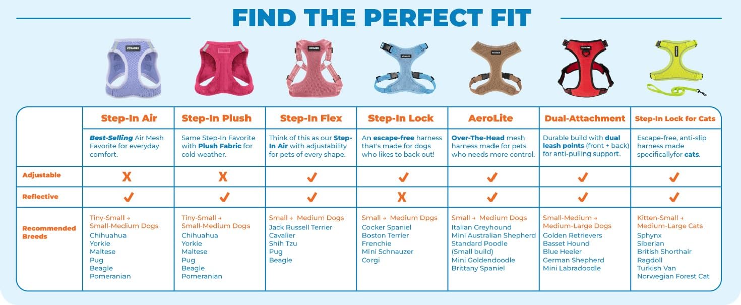Best Pet Supplies Voyager Escape Proof Cat Harness and Leash Set - Reflective Stitching, 5ft Leash, Turquoise XXS 8