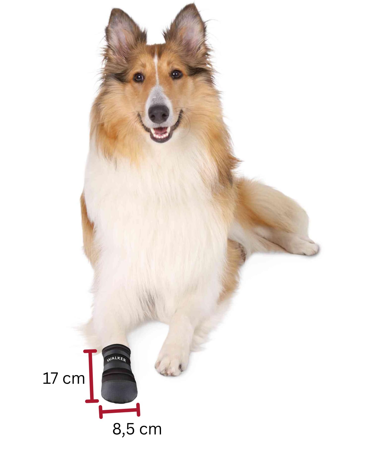 Trixie Walker Care Protective Boots - Large Size, Black | 2 Boots 3