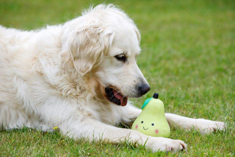 Petface Latex Pear Soft Chew Dog Toy - Large Size, Durable, Squeaky | Natural Rubber 5