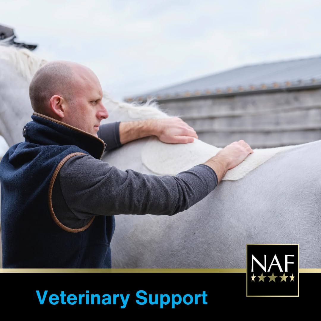 NAF Five Star Metazone Powder - Supports Natural Anti-Inflammatory Response | 1.2kg 6