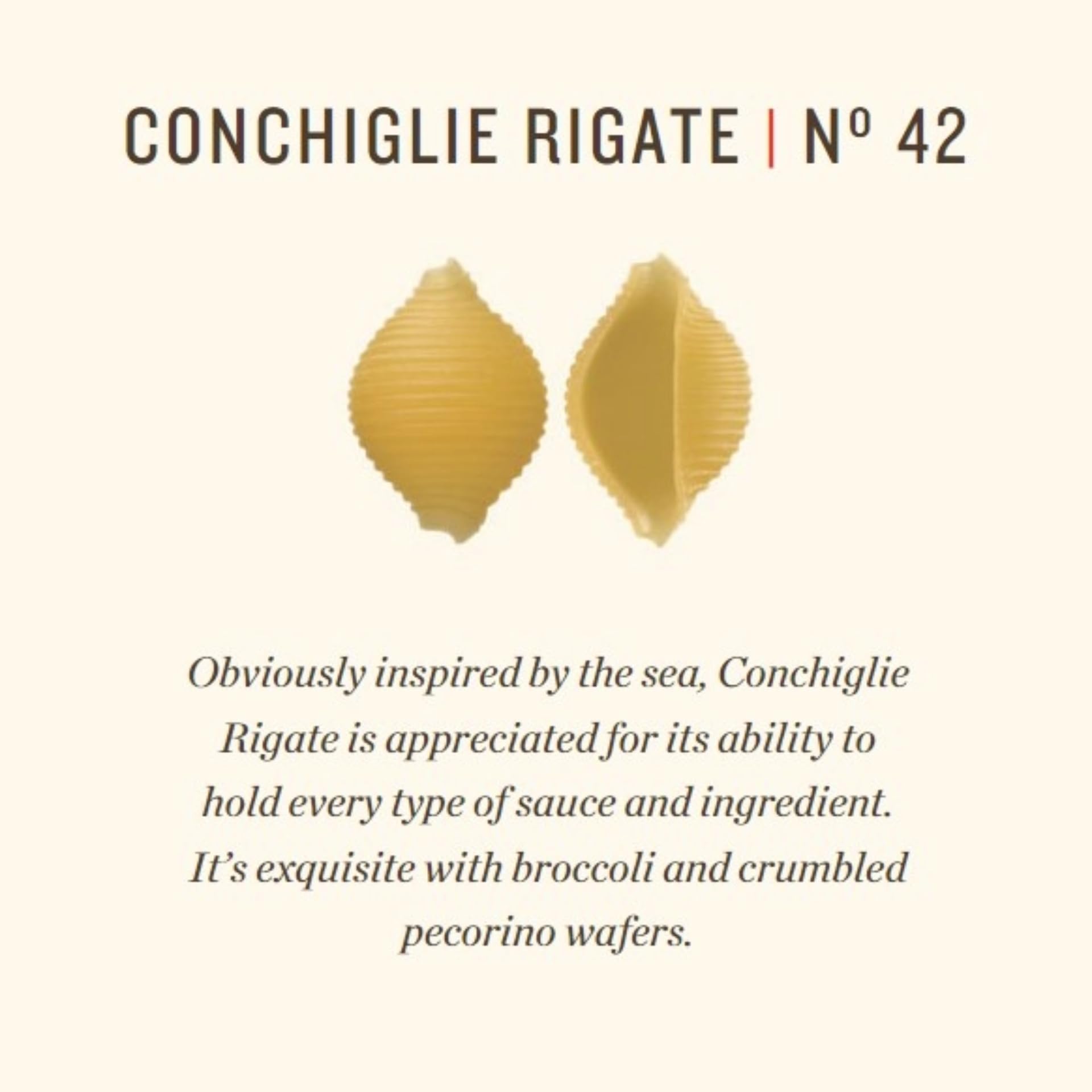 Rummo Conchiglie Rigate Pasta No.42 | 500g Italian Short Pasta Shells 4