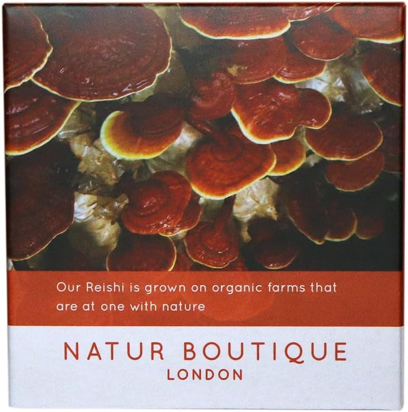 Natur Boutique Reishi-Teebeutel – 20 Stück Kräutertee mit Reishi-Pilz, Sternanis, Süßholz und Pfefferminze 3