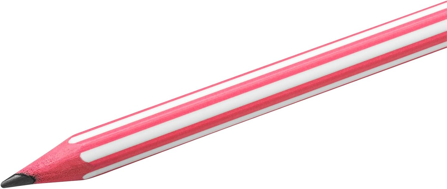 BIC Evolution Graphite Pencils - Pack of 8 - HB Pencils with Eraser - Colourful Stripe Design and Shock-Resistant Lead 4