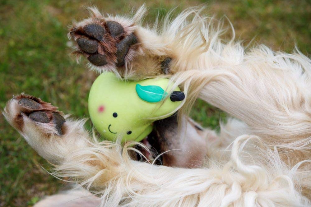 Petface Small Latex Pear Squeaky Chew Toy | Durable Natural Rubber | Unscented 3