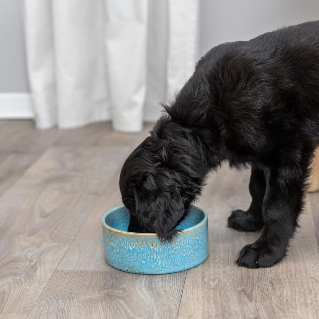 TRIXIE Ceramic Dog Bowl - 900 ml Capacity | Ø 16 cm | Blue 4