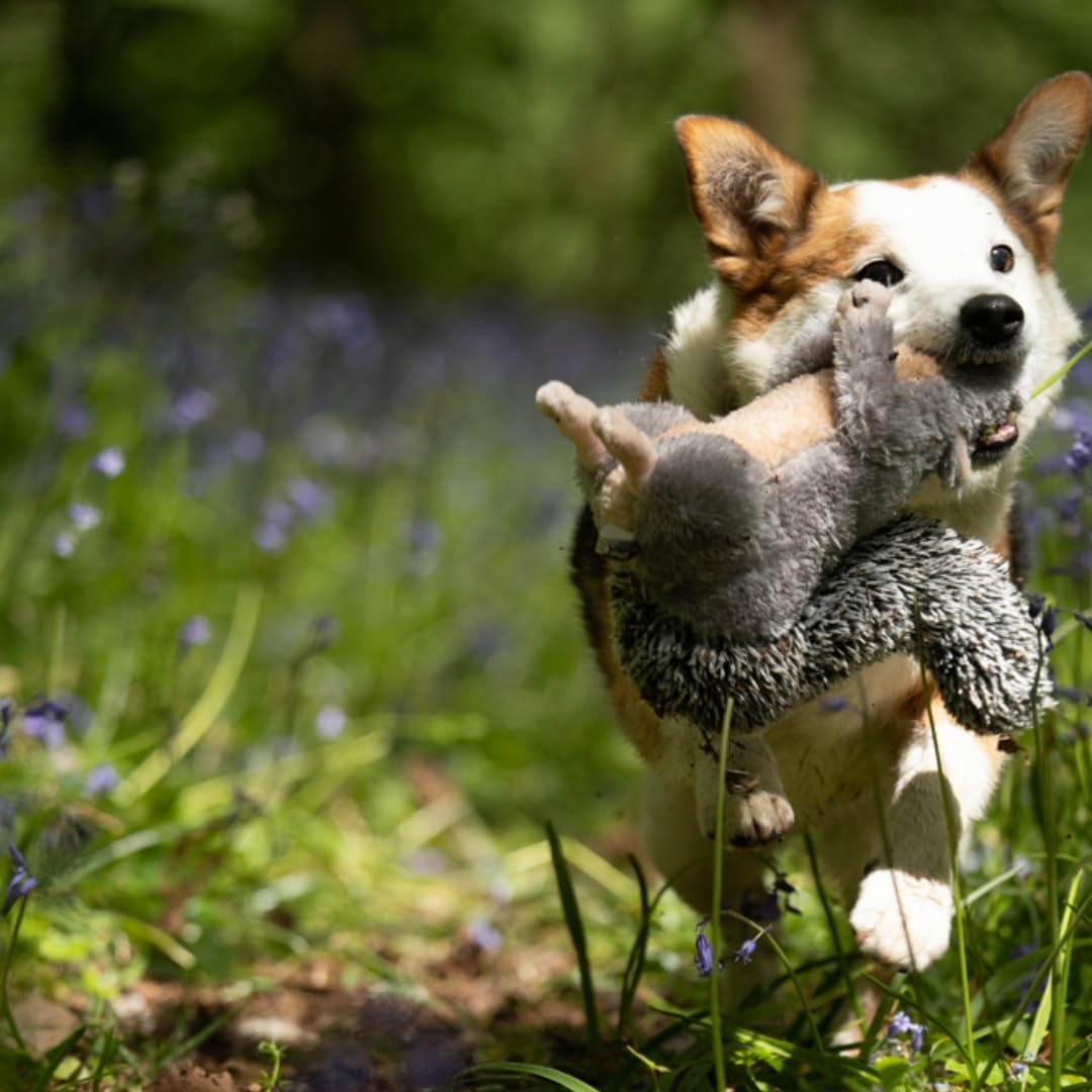 Petface Cyril The Squirrel Plush Dog Toy with Built-In Squeaker | Washable, Grey & Brown 4