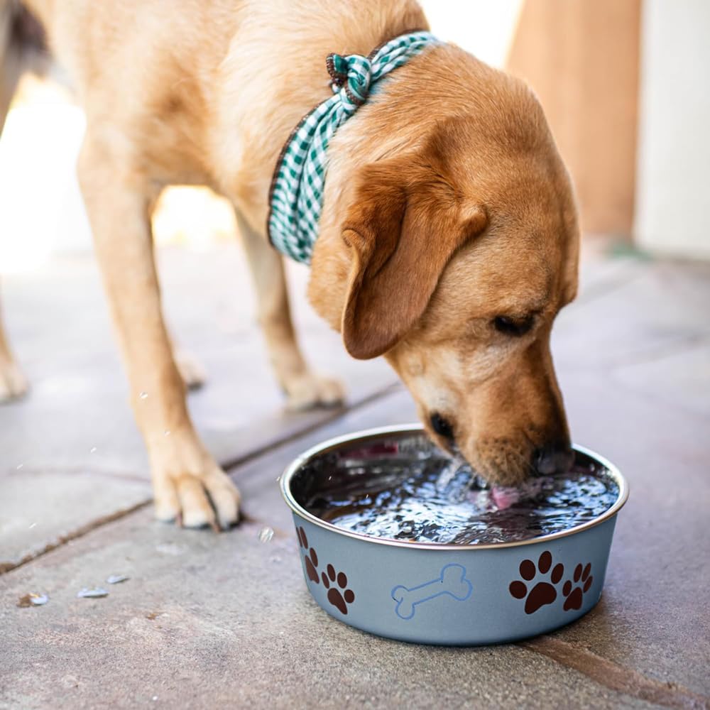 LOVING PETS Bella Bowl - Veterinarian Recommended Stainless Steel Dog Bowl | Spill Proof | Extra-Large 2.2 Litre 5