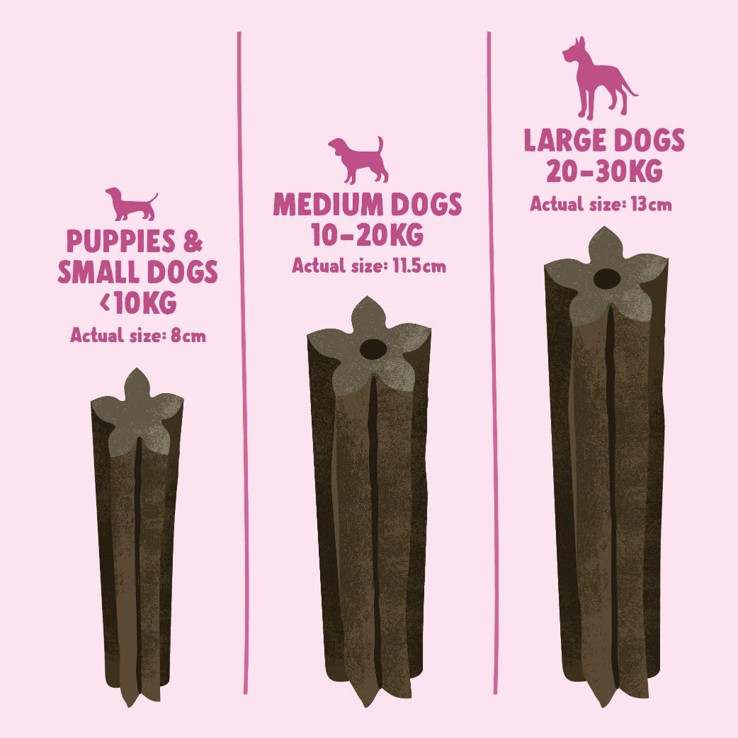 Denzel's Dog Dental Sticks - Salmon & Spearmint for Small Dogs & Puppies | 28 Count 3