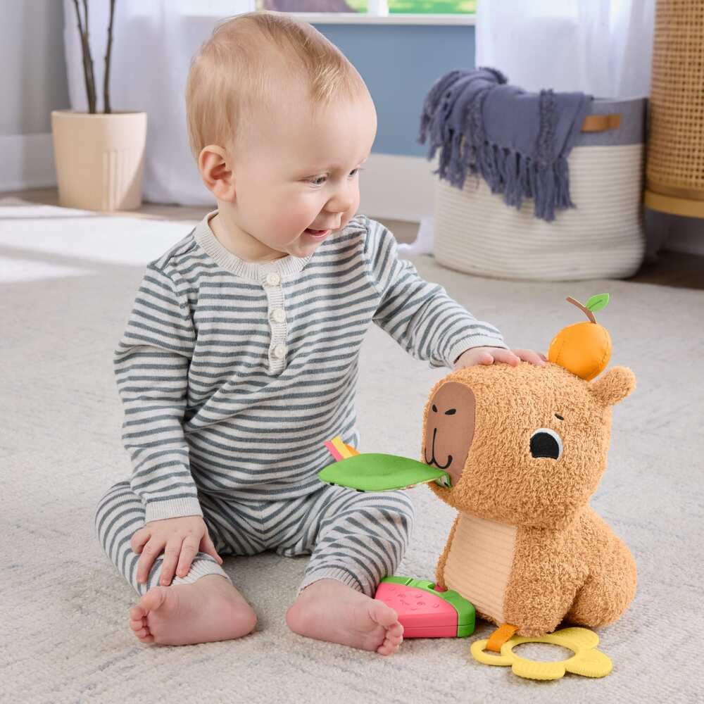 Fisher-Price Baby Sensory Toy Snuggly Snacky Capybara Plush with Newborn Te