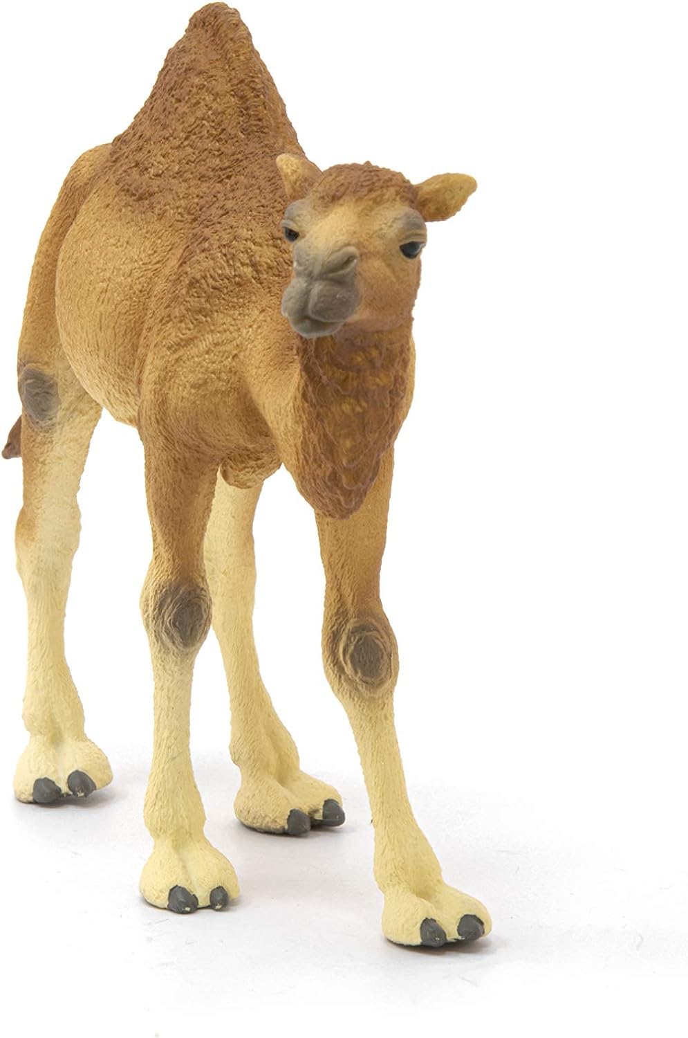 Schleich 14832 Dromedary Wild Life Toy Figurine | Ages 3-8 | Beige/Brown 7