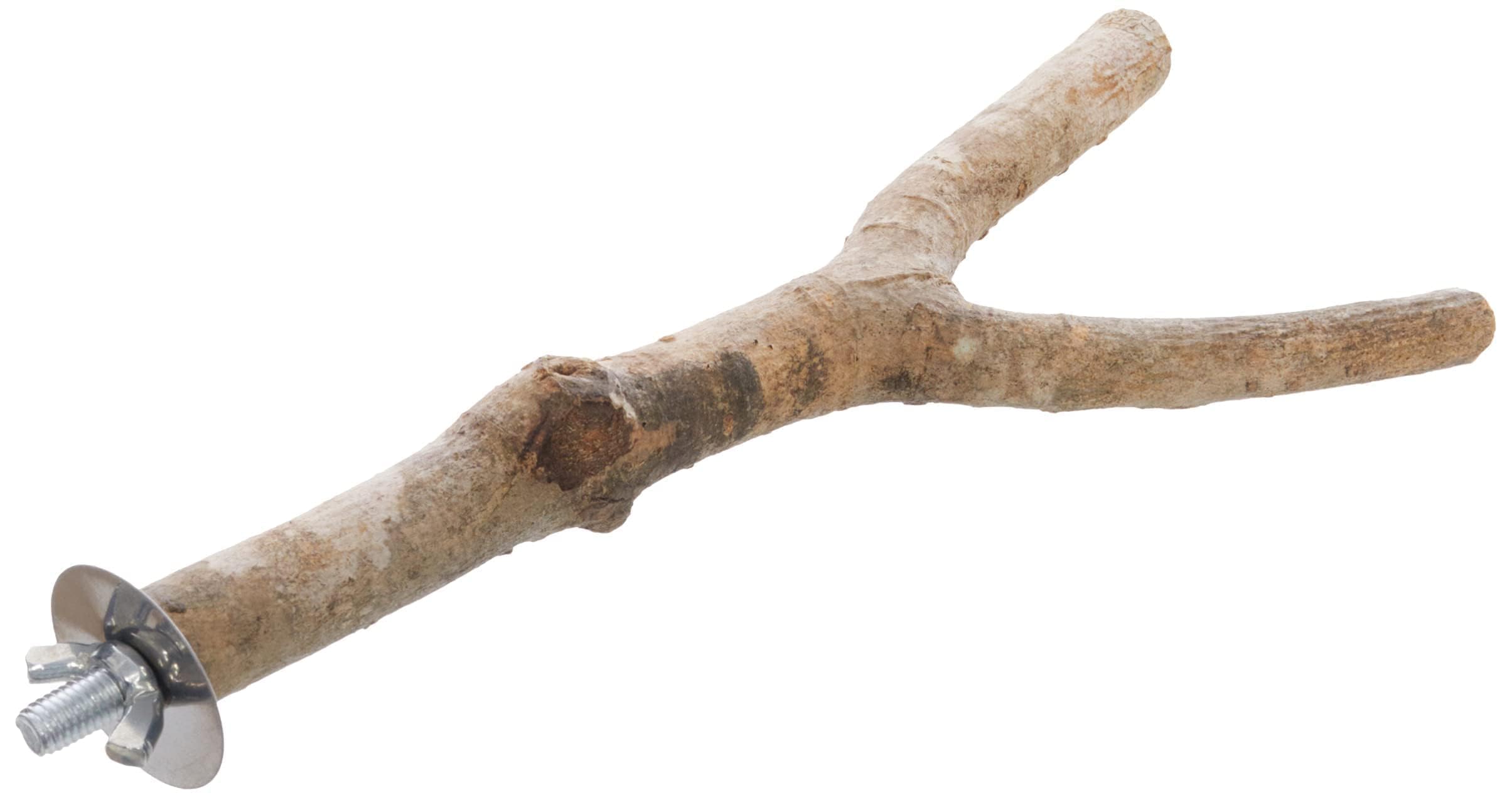 TRIXIE Natural Living Y Shape Bird Perch - Natural Wood | 20 cm Length | 15 mm Diameter 4