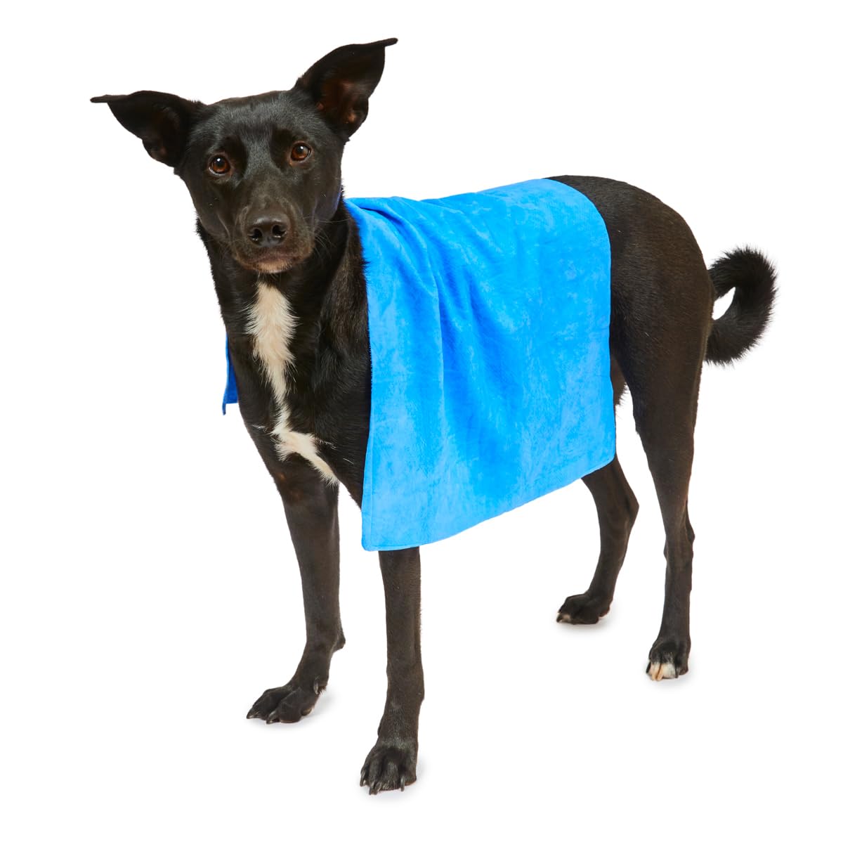 Petface Cooling Summer Pet Towel - Water-Activated Relief | 66 x 43 cm | Blue 3