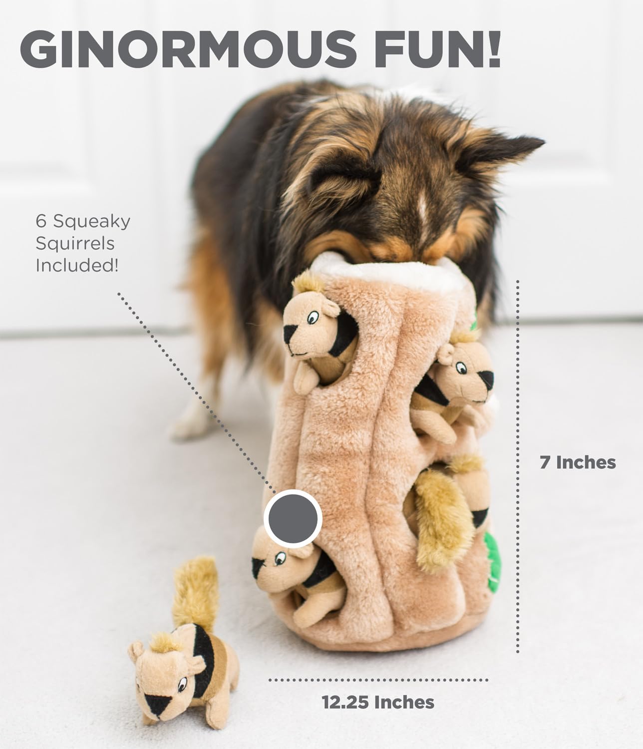Outward Hound Hide A Squirrel Plush Dog Toy Puzzle - XL Size | 6 Squeaky Squirrels | Durable 3