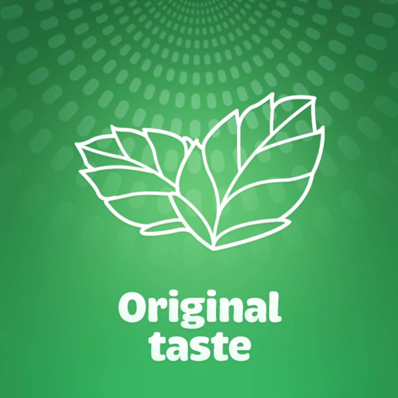 Tic Tac Fresh Mint Flavoured Drops - Bulk Box of 24 x 18g Packs | Gluten Free 6