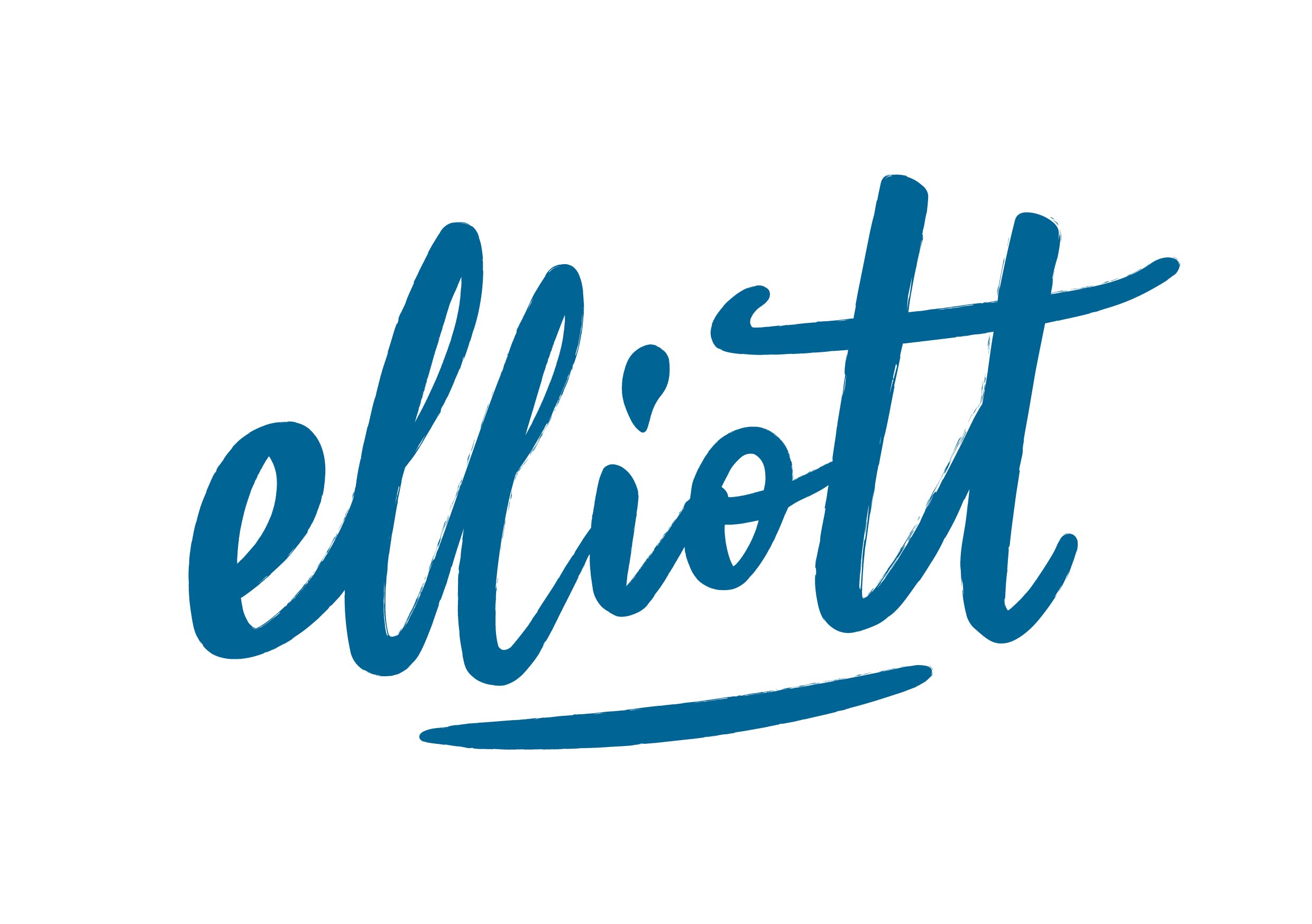 Elliott Spülbürste aus Holz mit natürlichen Tampico-Fasern – langer Griff, austauschbarer Kopf
