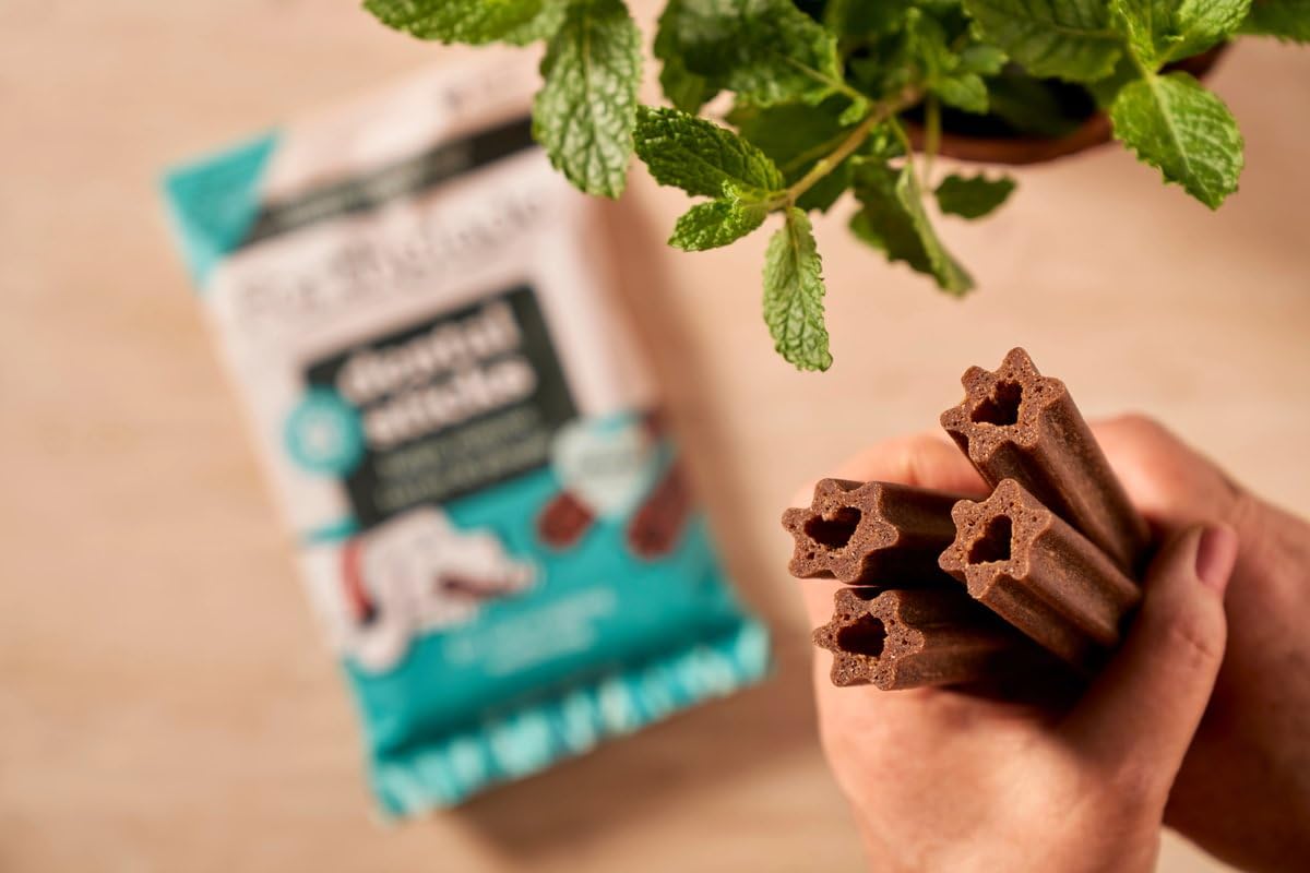 Forthglade Natural Dog Dental Sticks - Plant Based Mint Flavor | 10 x 185g Bags (50 Sticks Total) 6