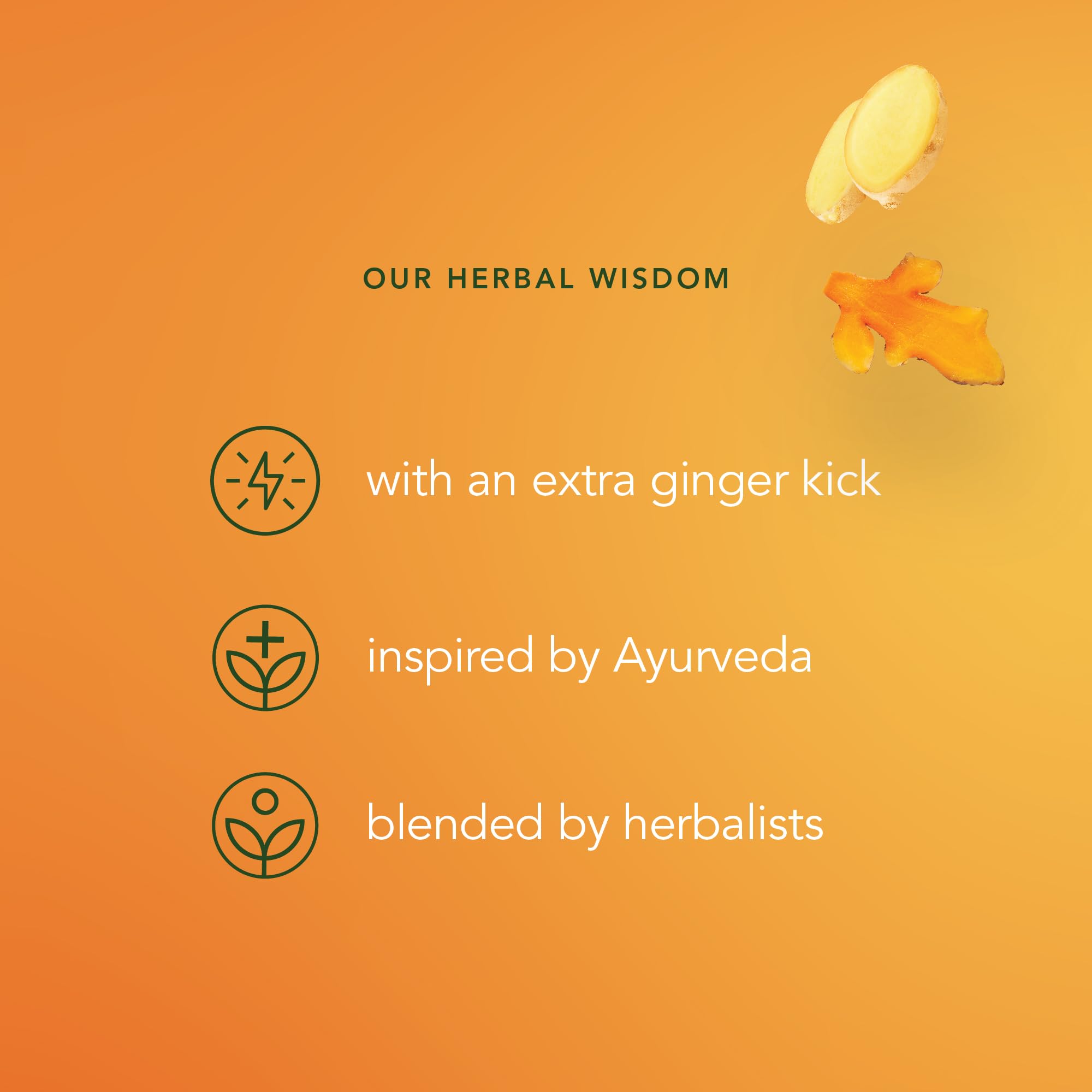 Pukka Herbs Three Ginger Organic Herbal Tea - 80 Count (Pack of 4) | Aids Digestion | Caffeine-Free 6