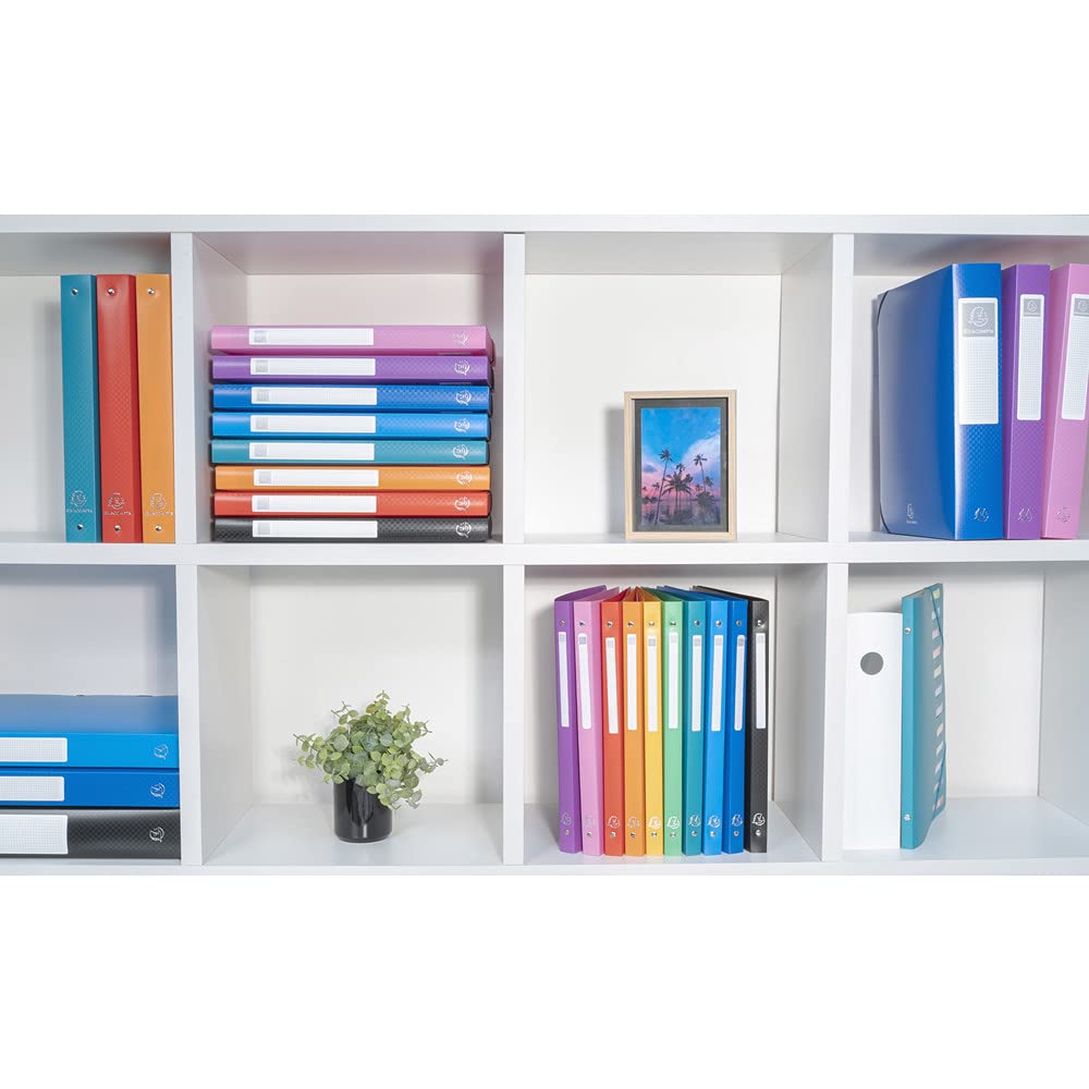 Exacompta OPAK Flexible O-Ring Binders - Box of 10 | A4 | 2 Round Rings 15mm | Assorted Colors 8