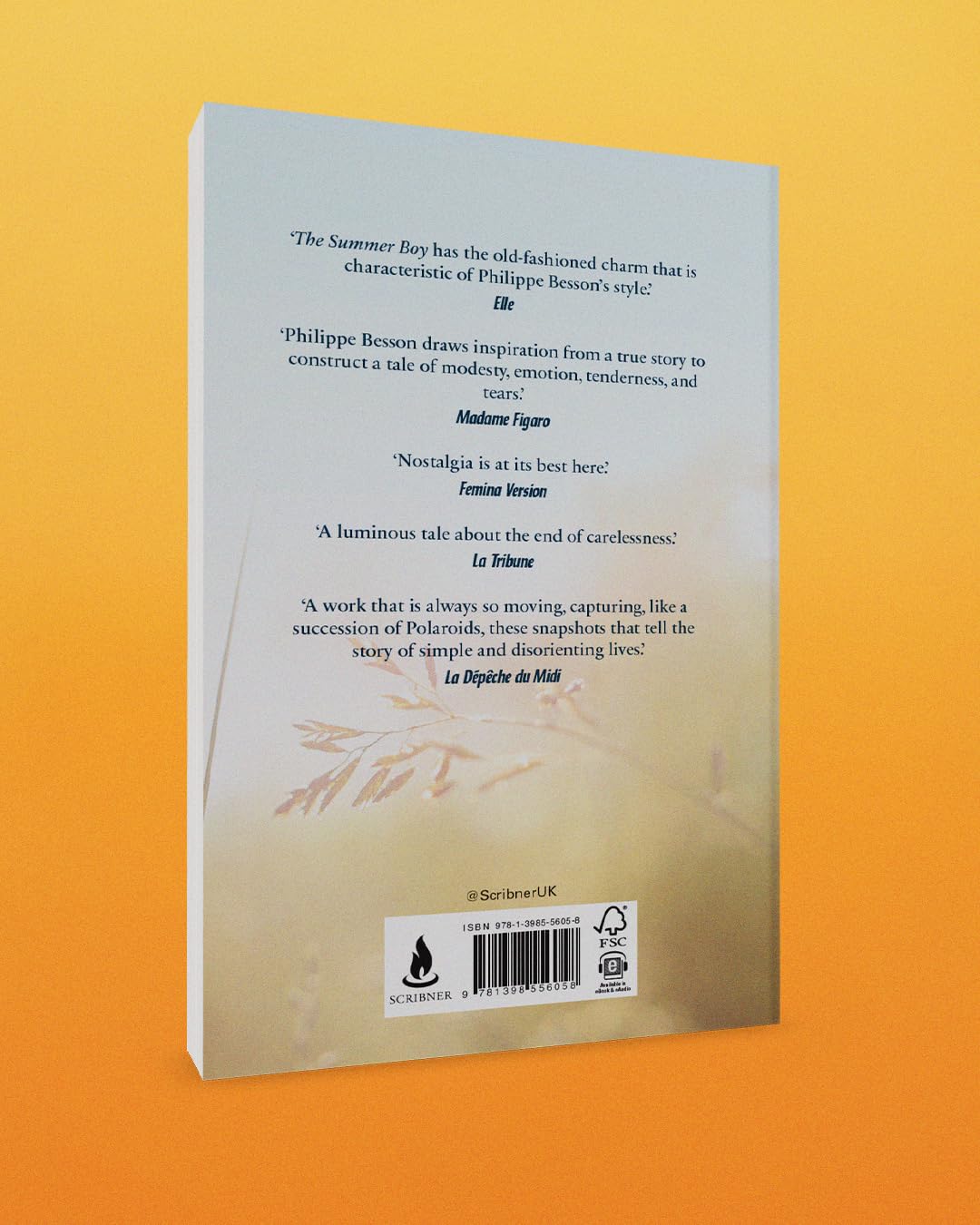 Philippe Besson - The Summer Boy | Contemporary Fiction Paperback 3