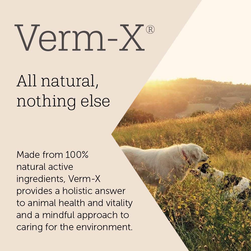 Verm-X Natural Treats for Cats - 60g | Supports Intestinal Hygiene | Vet Approved 6