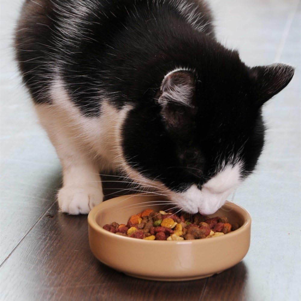 Mason Cash Cane Cat Saucer 13 cm 3