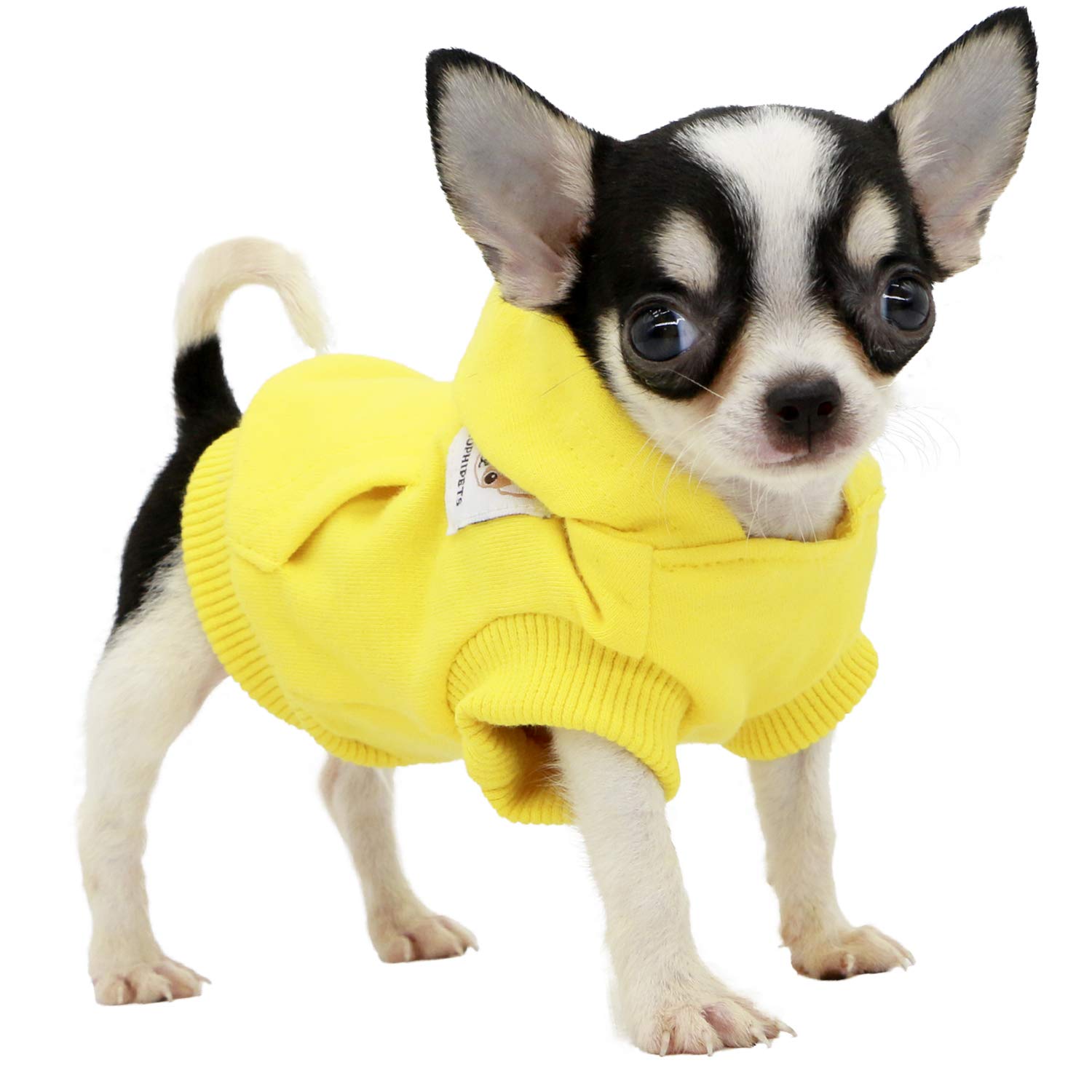 LOPHIPETS Dog Hoodie - Yellow, X-Small | Breathable Cotton Blend 1