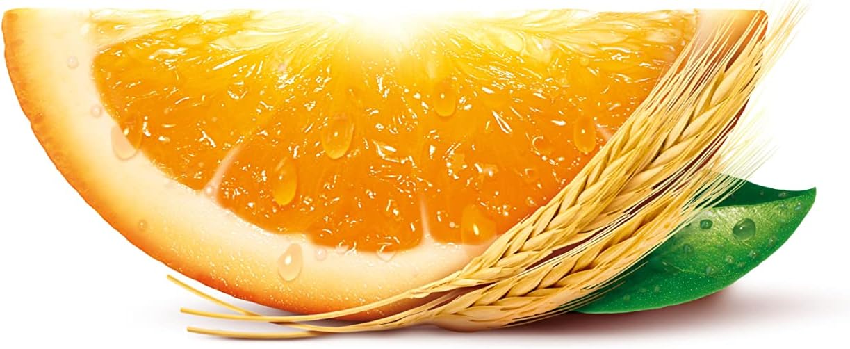 Robinsons Barley Water – Echtes Fruchtsirup, kalorienarm, Orange – 850 ml 3