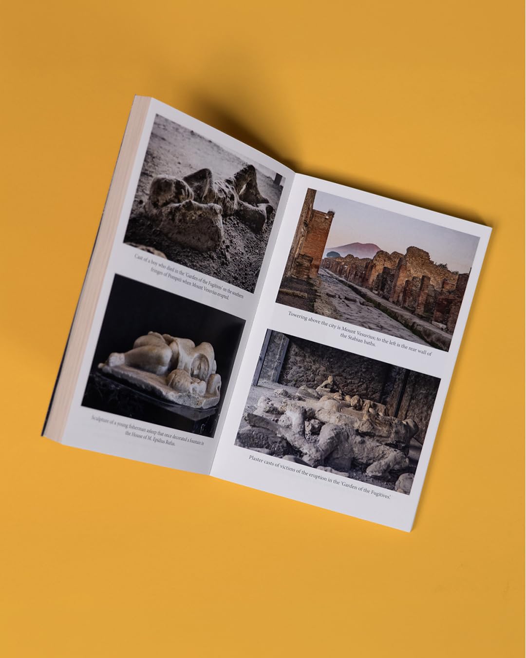 Gabriel Zuchtriegel - The Buried City: The Revelatory New History from the Director of Pompeii [Paperback]