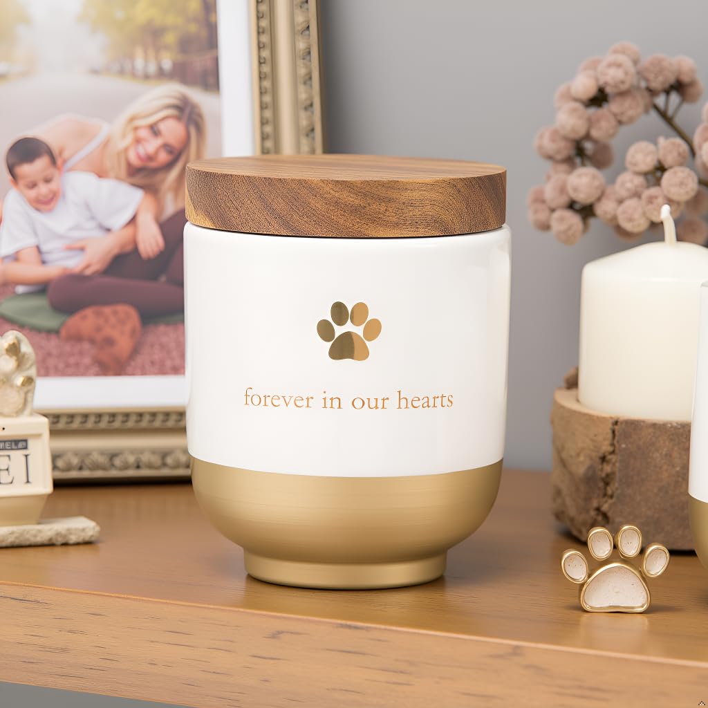 Pearhead Pet Ceramic Forever in Our Hearts Urn | Gold Accent | Fits Pets up to 45lbs 4