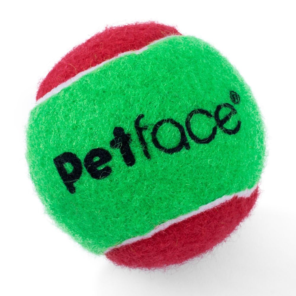 Petface Squeaky Tennis Balls for Dogs - Pack of 3 | Natural Rubber | All Breeds 4