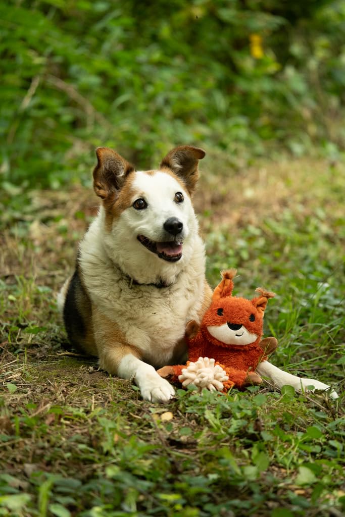 Petface Saffia Squirrel Crinkle Dog Toy - Built-in Squeaker | Polyester Plush | Orange
