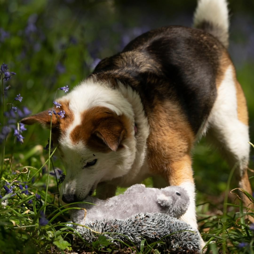 Petface Cyril The Squirrel Plush Dog Toy with Built-In Squeaker | Washable, Grey & Brown 5