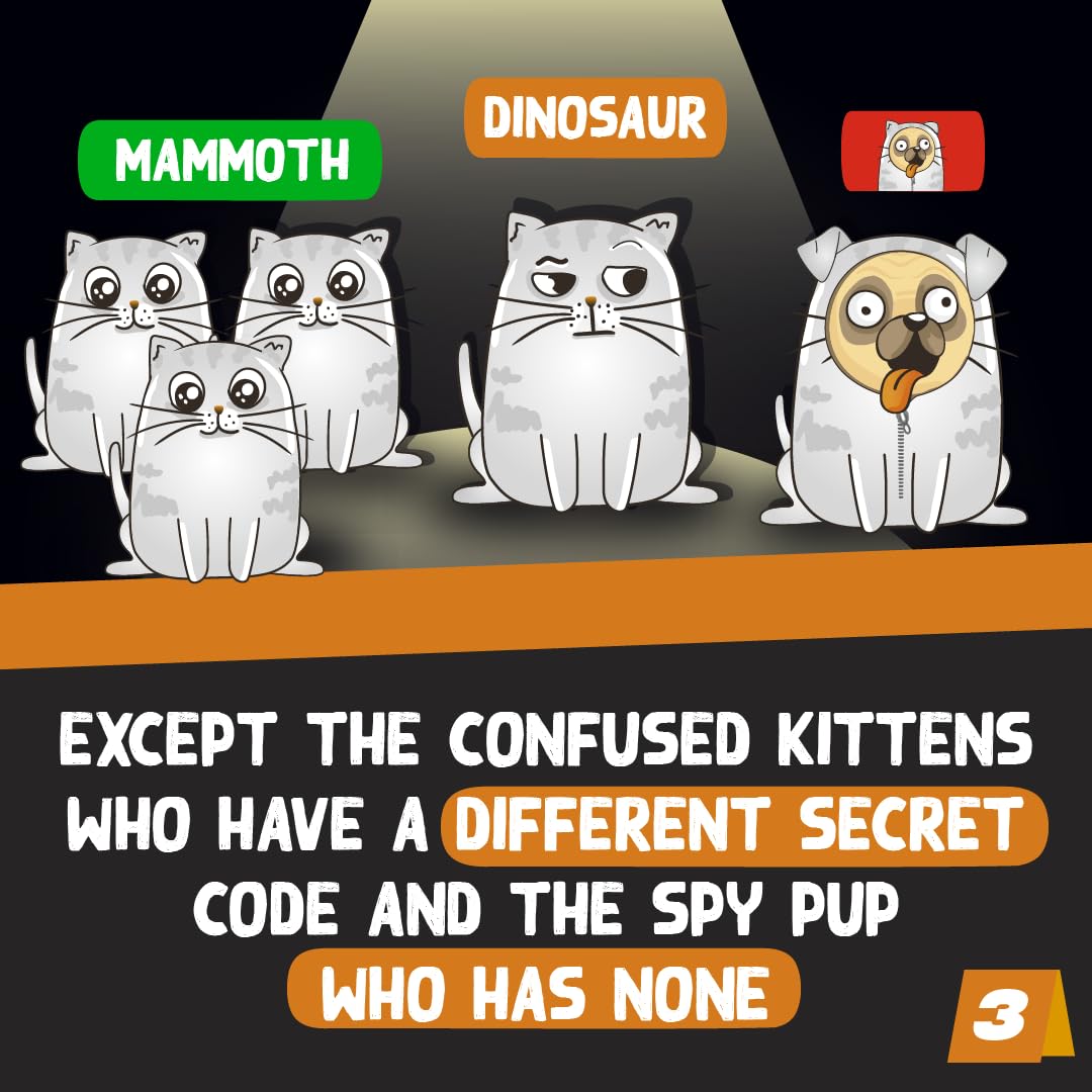 Exploding Kittens Little Secret Bluffing Card Game 9