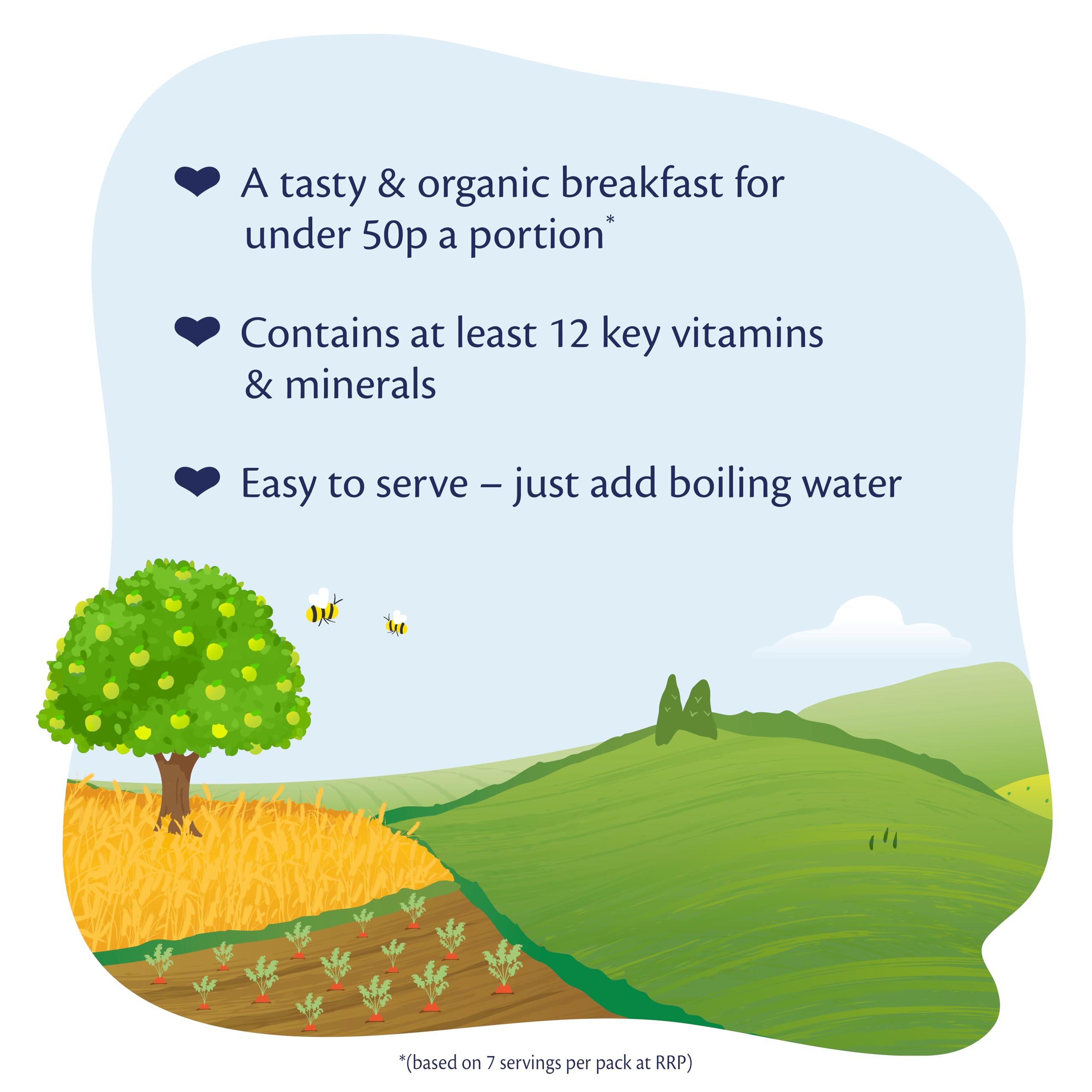 HiPP Organic Summer Berry Multigrain Porridge - 10+ Months, 200g (Pack of 4) 4