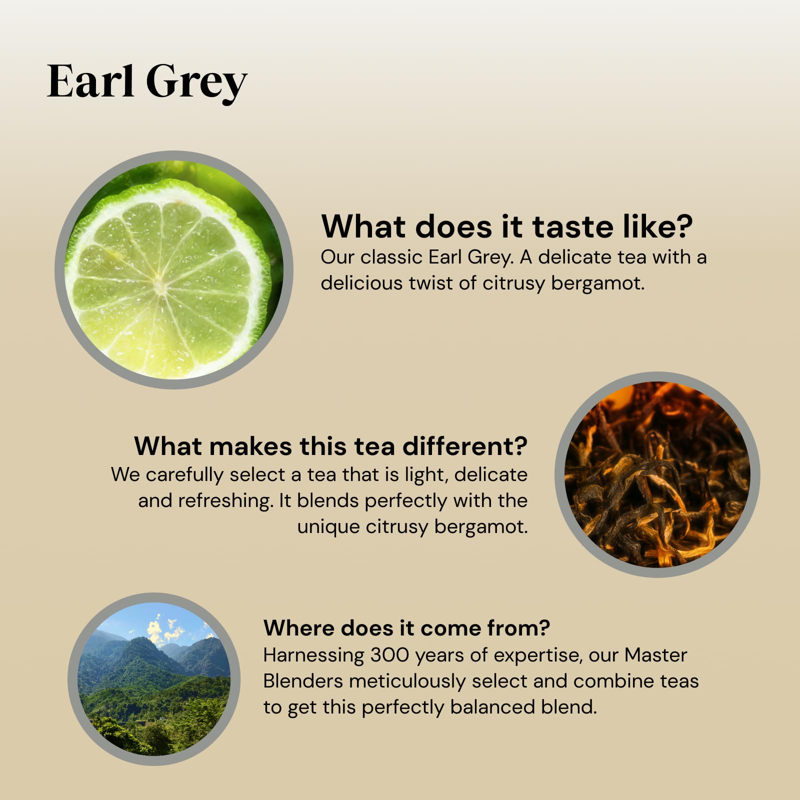 Twinings Earl Grey Black Tea Bags - 40 Count, 100g | Bergamot & Lemon Flavor 3