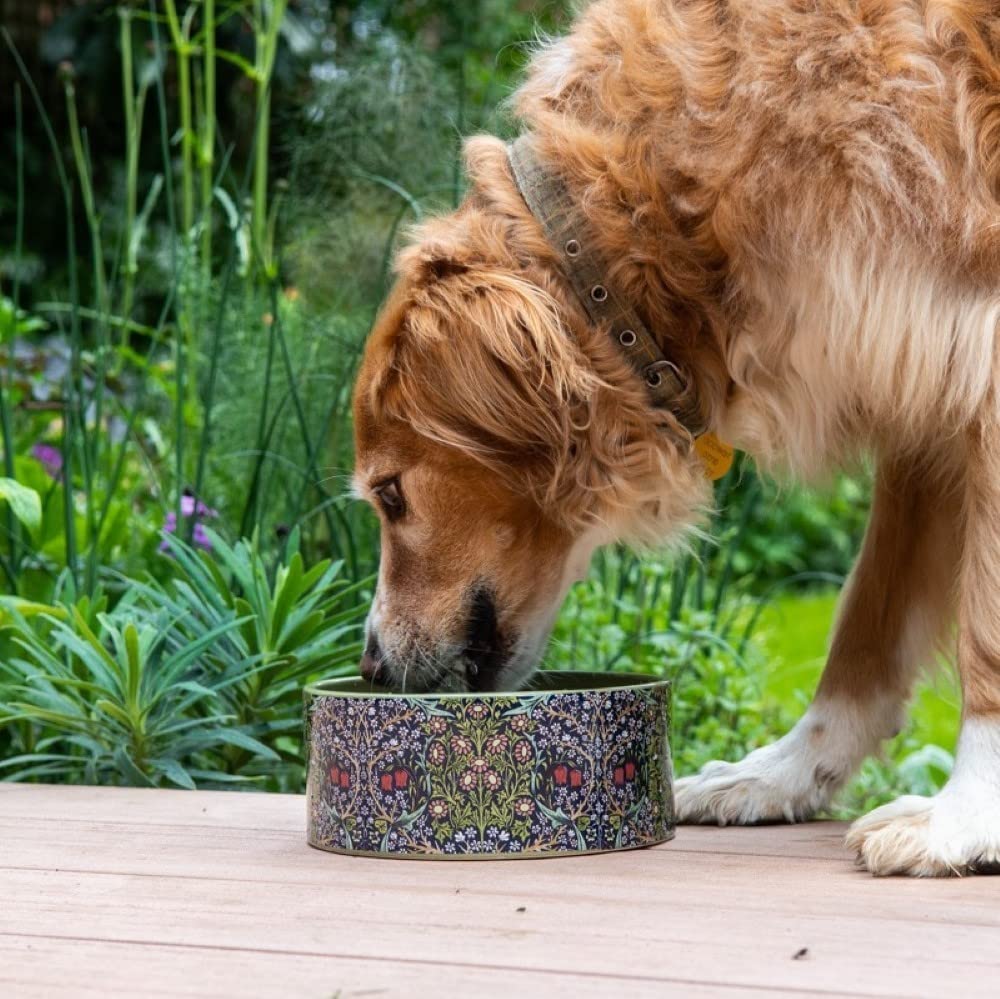 William Morris at Home Ceramic Slow Feeder Dog Bowl - Blue | Dishwasher Safe | 18.5 x 7.7 cm 4