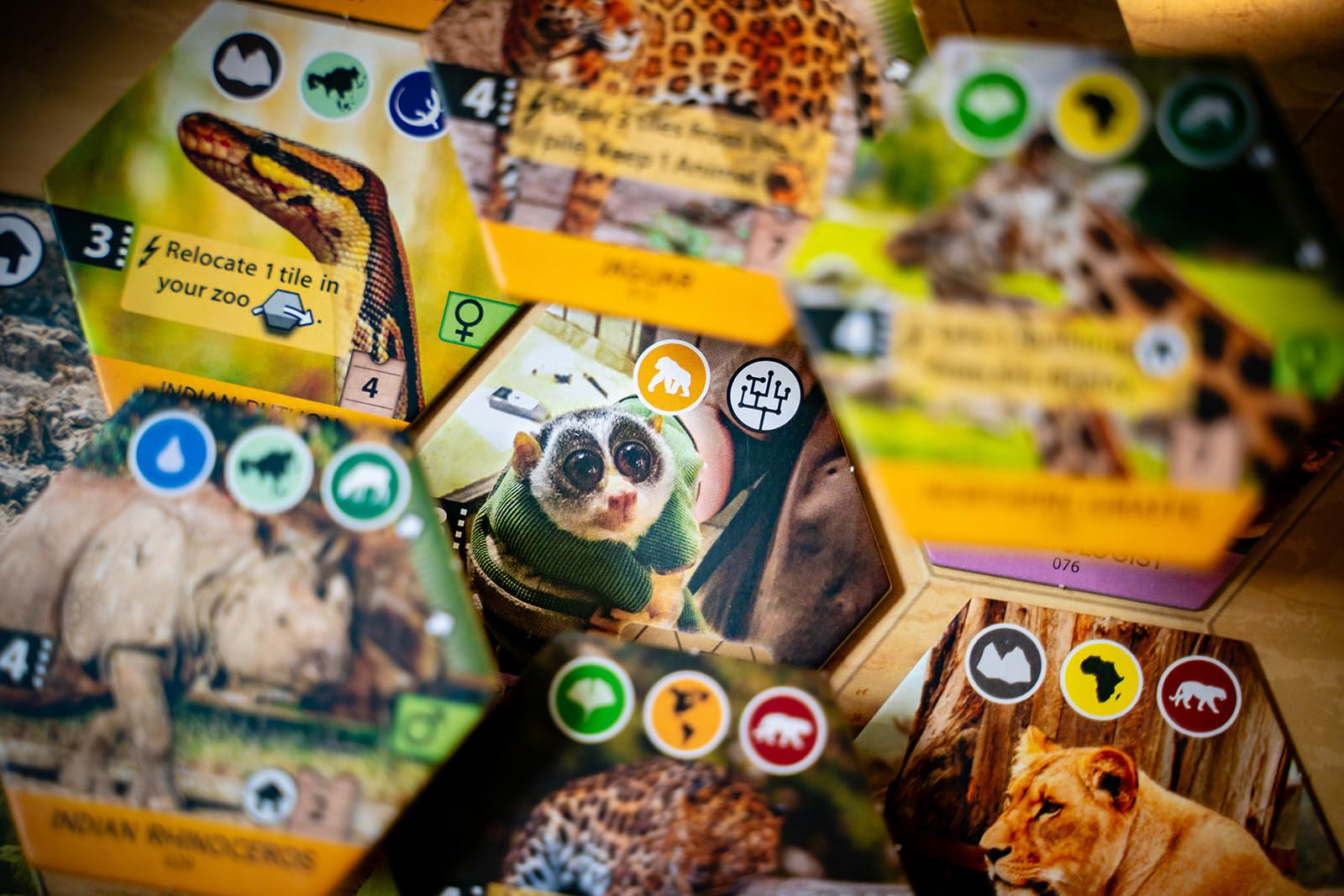 Capstone Games Sanctuary Board Game | 1-5 Players | Ages 12+ | Standard Edition 6