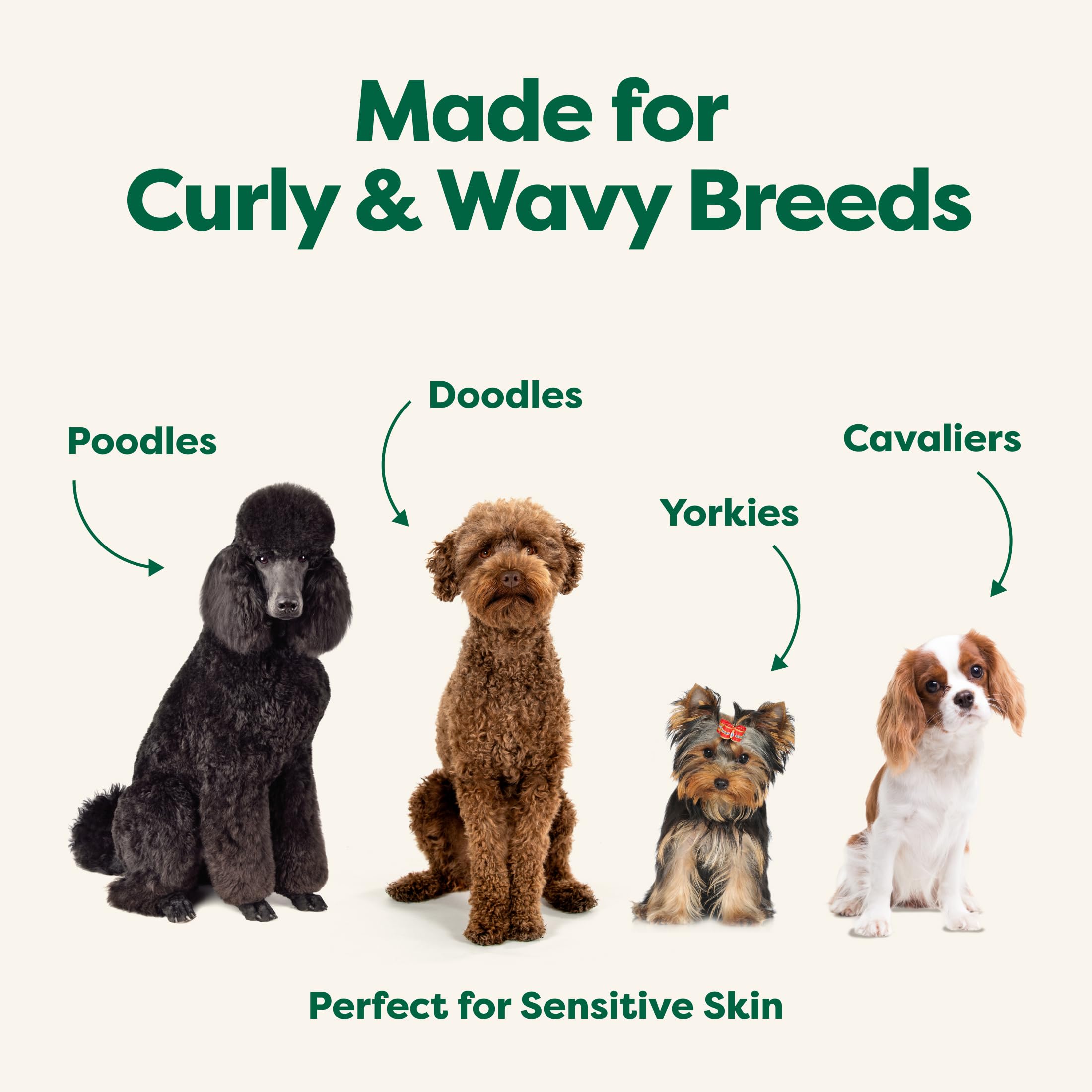 Earth Rated 3-in-1 Detangling Dog Shampoo and Conditioner with Oatmeal | White Tea & Basil Scent | 473ml 7