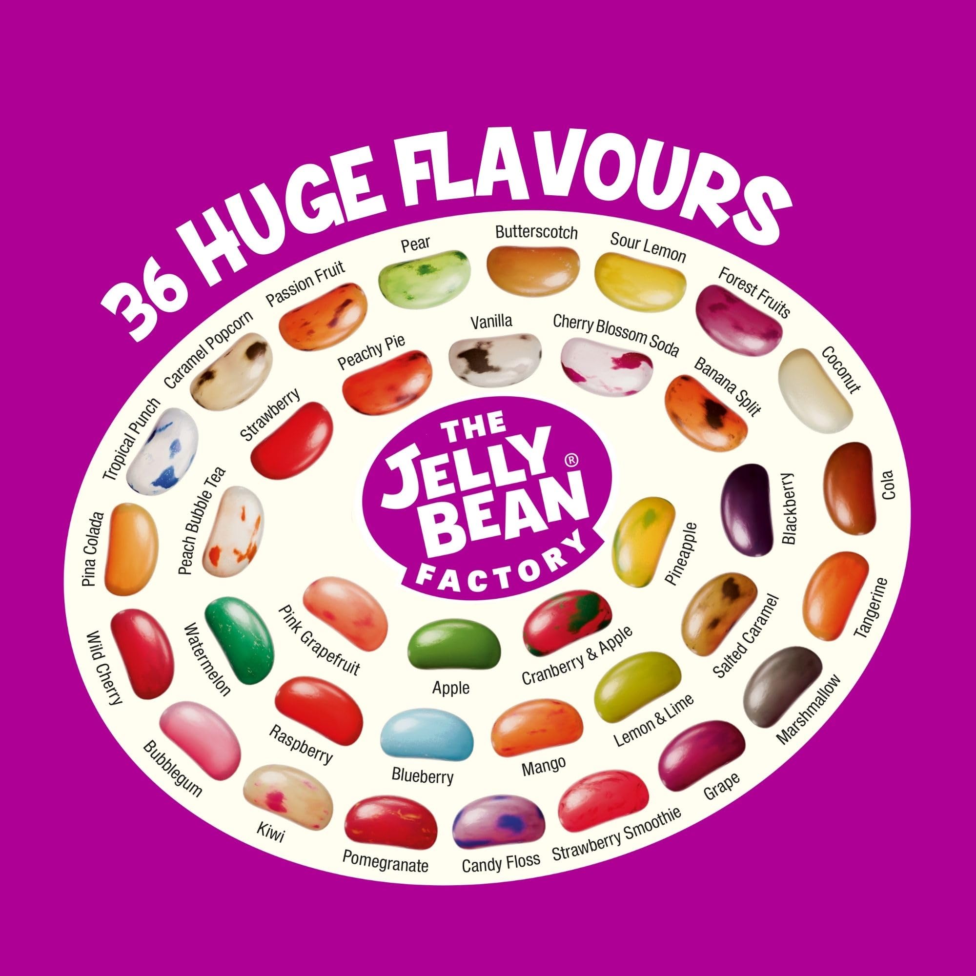 The Jelly Bean Factory Riesige Geschmacksrichtungen, 1,4 kg Gourmet-Jelly-Beans-Glas 19