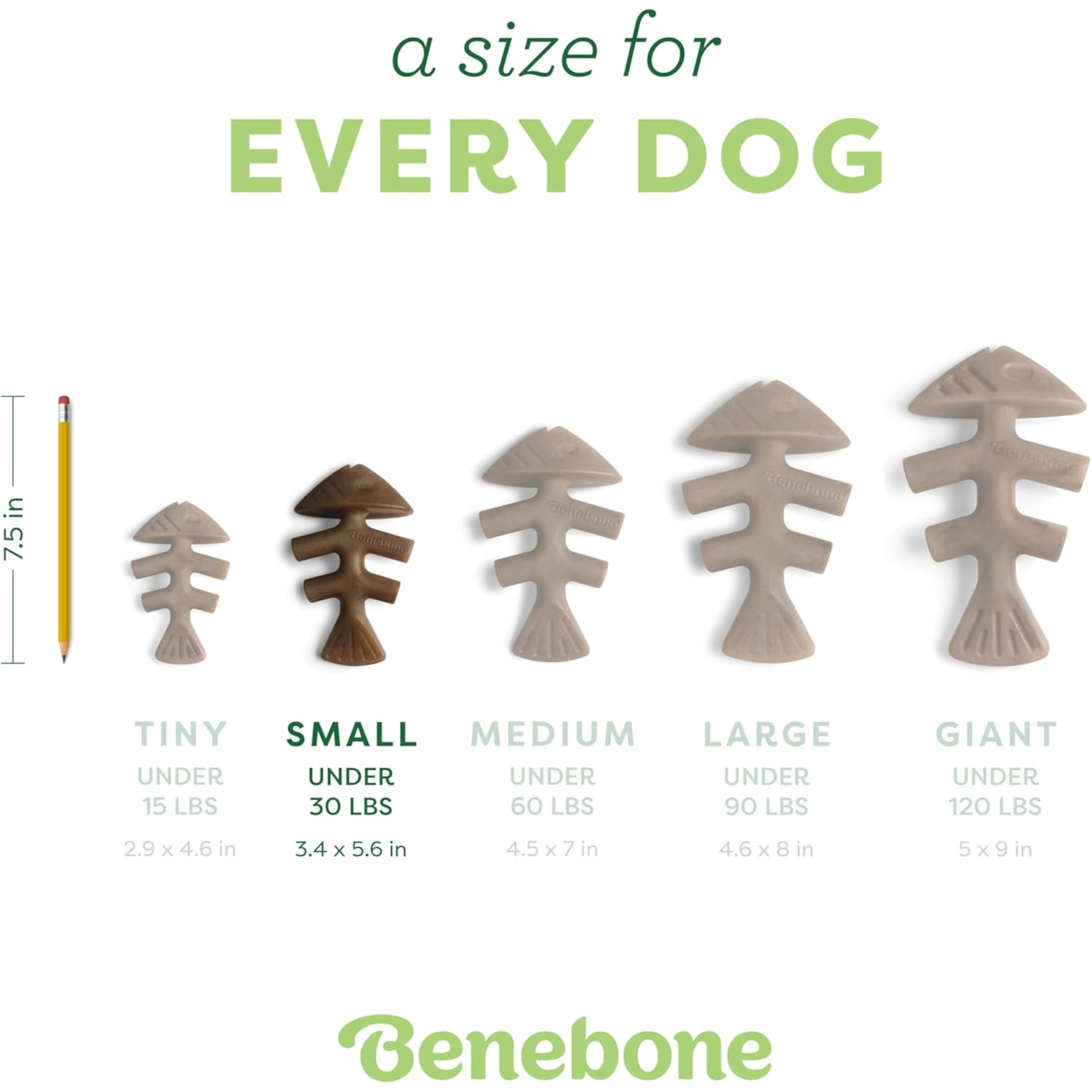 Benebone Fishbone Indestructible Dog Chew Toy - Real Jack Salmon Flavor | Small Size | Heavy Duty 4