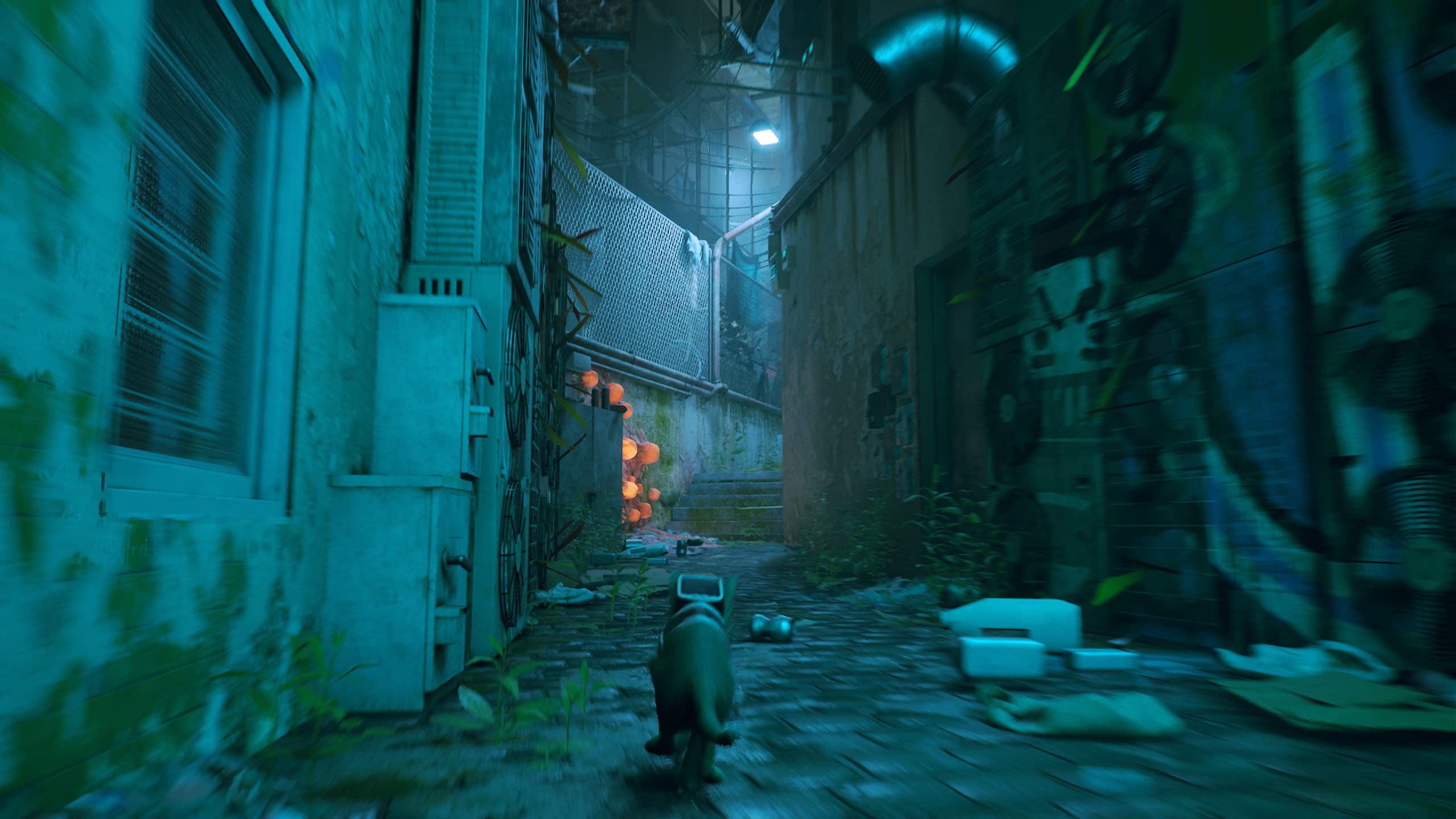 Stray (PS4) 6
