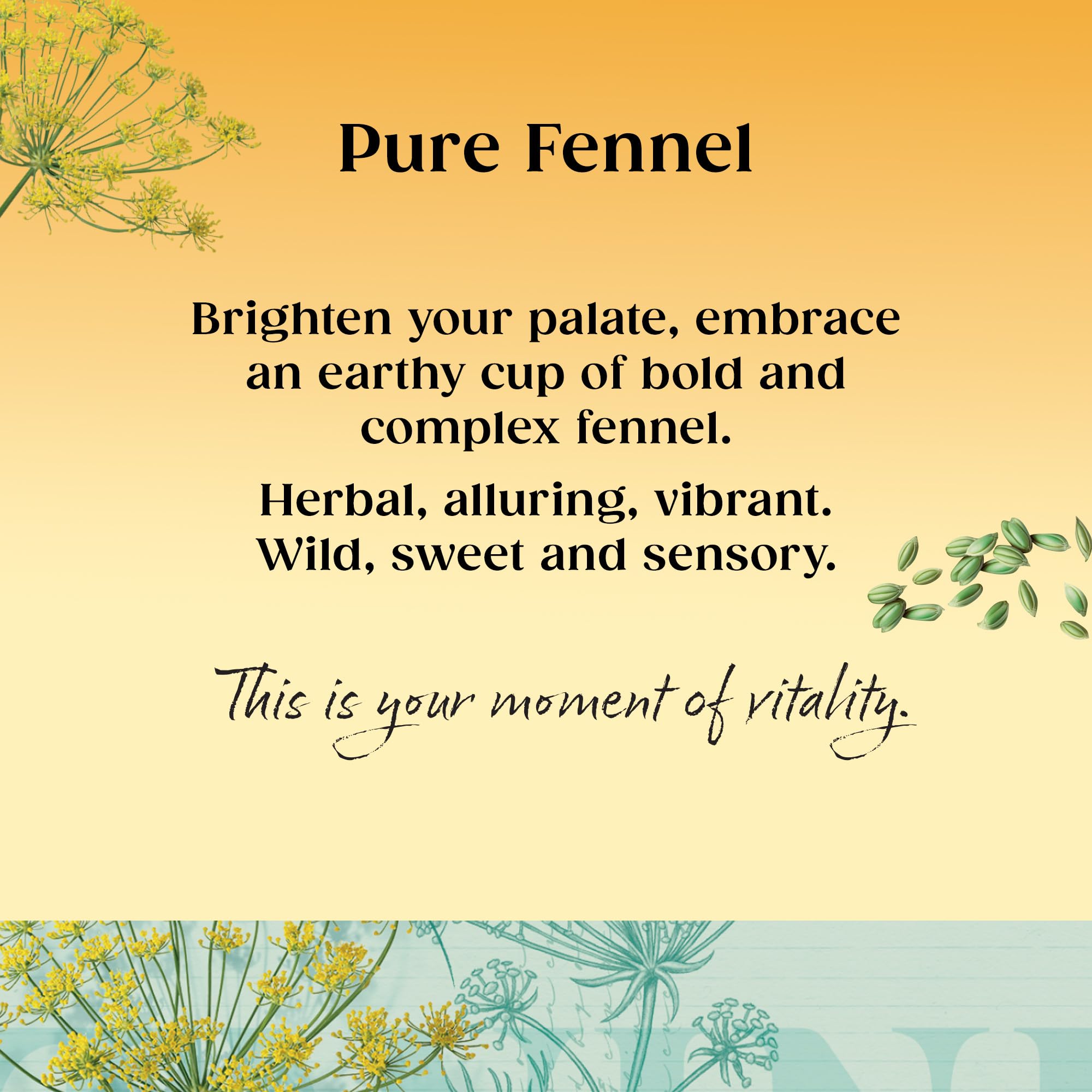 Twinings Pure Fennel Herbal Tea - Supports Digestion | 20 Tea Bags | 40g 3