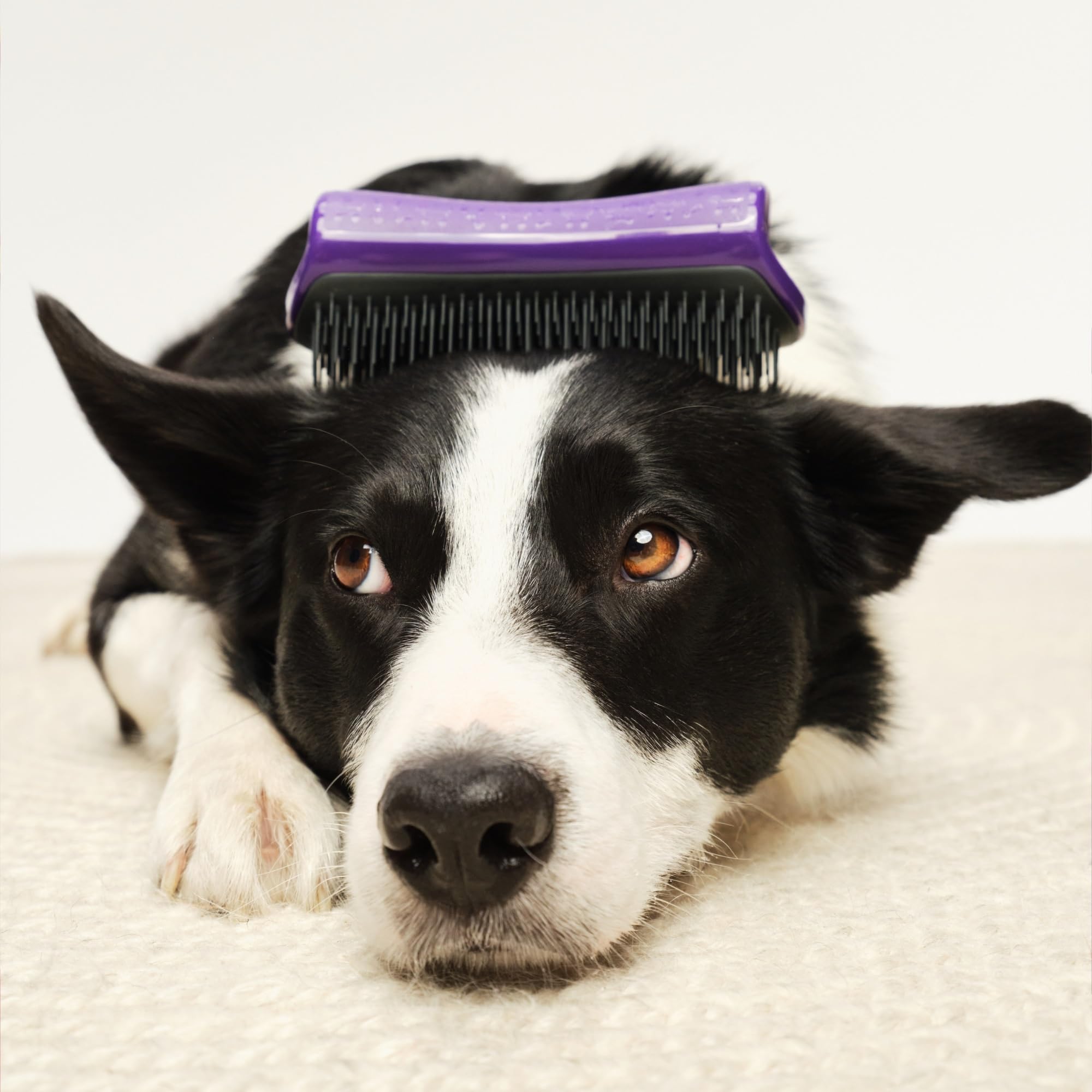 Pet Teezer De-Shedding Grooming Brush - Undercoat Removal | Purple & Grey | Large 7
